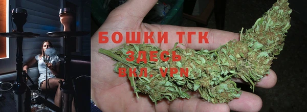 прущие грибы Абинск