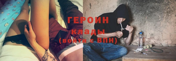 прущие грибы Абинск