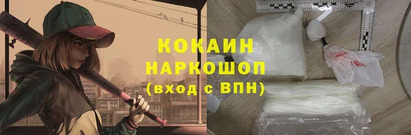 прущие грибы Абинск