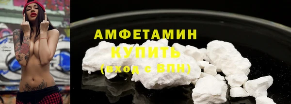прущие грибы Абинск
