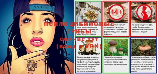 МДПВ Абдулино