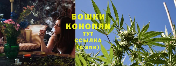 прущие грибы Абинск