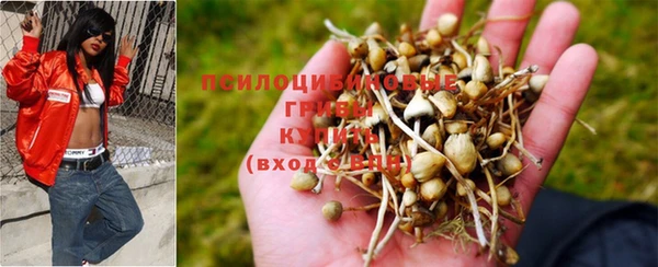 кристаллы Покачи